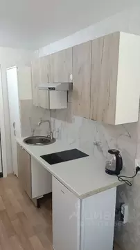 Студия Новосибирская область, Новосибирск ул. Жуковского, 105 (15.0 м)