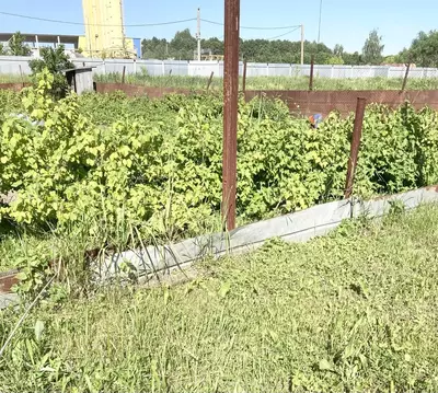 Участок в Московская область, Раменский муниципальный округ, д. ...