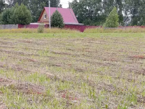 Участок в Пермский край, Нытвенский муниципальный округ, с. Чекмени ...