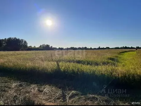 Участок в Костромская область, Красносельский район, Шолоховское ...