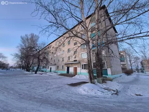 2-комнатная квартира: село Среднебелая, Амурская улица, 10 (50 м)