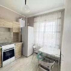 1-к кв. Калининградская область, Калининград Кутаисский пер., 2 (27.2 ...