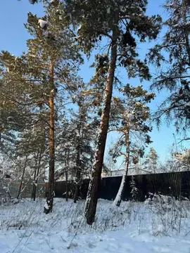 Участок в Саха (Якутия), Якутск ш. Хатынг-Юряхское (6.5 сот.)