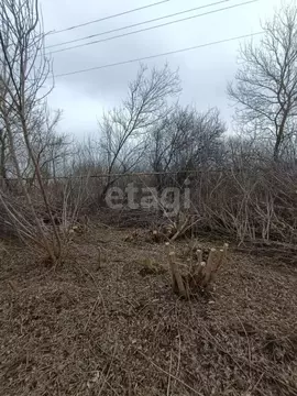 Участок в Белгородская область, Губкинский городской округ, с. ...