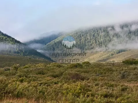 Участок в Алтай, Онгудайский район, с. Ело  (500.0 сот.)