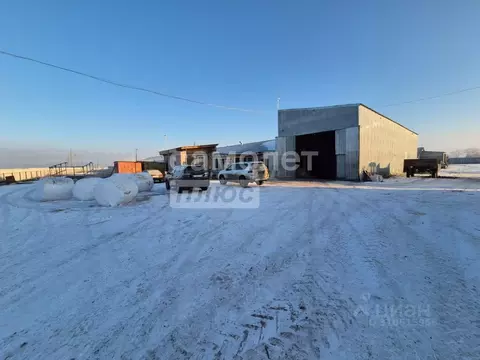 Производственное помещение в Челябинская область, Еткульский район, ...