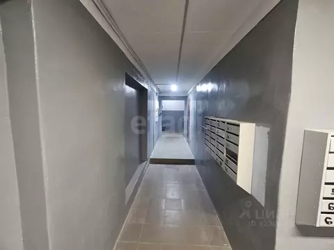 Студия Архангельская область, Архангельск ул. Самойло, 12А (34.7 м)