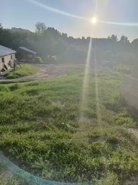 Дом в Алтайский край, Барнаул ул. Панкратова, 77В (66 м)