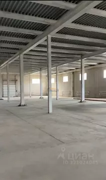 Склад в Московская область, Лосино-Петровский Лесная ул., 9 (1200 м)