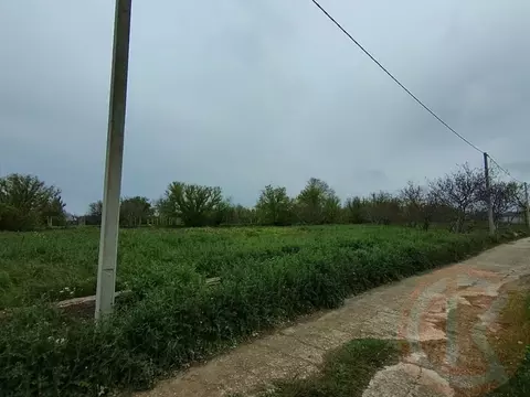 Участок в Крым, Сакский район, Ореховское с/пос, с. Михайловка 18 ...