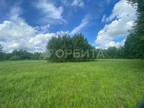 Участок в Тюменская область, Нижнетавдинский муниципальный округ, д. ...