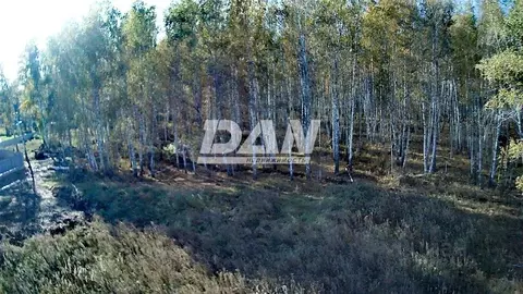 Участок в Челябинская область, Сосновский муниципальный округ, с. ...