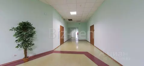 Офис в Санкт-Петербург ул. Радищева, 39Д (53 м)