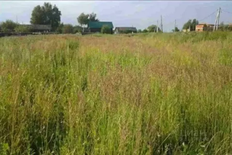 Участок в Владимирская область, Суздальский район, Павловское ...