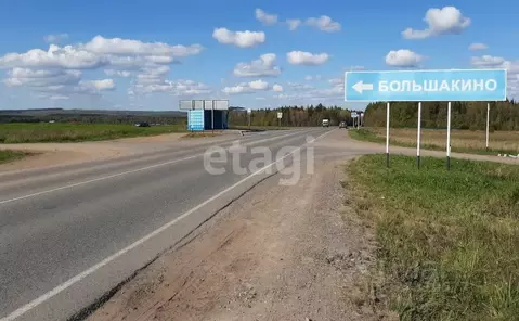 Участок в Пермский край, Пермский муниципальный округ, д. Большакино  ...
