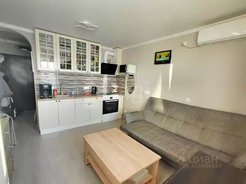 1-к кв. Краснодарский край, Анапа ул. Ленина, 233 (45.0 м)