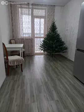 1-комнатная квартира: Екатеринбург, улица Патриса Лумумбы, 41 (42.9 м)