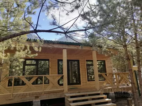 Дом в Алтай, Чемальский район, с. Чемал ул. Березовая, 13 (46 м)