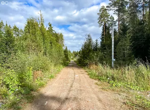 Дом в Сертоловское городское поселение, садоводческое некоммерческое ...