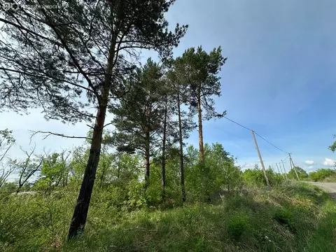 Участок в Арсеньев, Приморская улица (10 м)