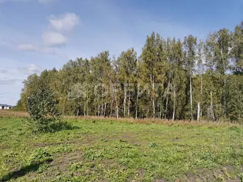 Участок в Тюменская область, Тюменский муниципальный округ, д. Елань ...