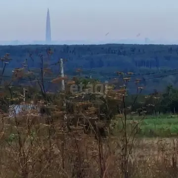 Участок в Ленинградская область, Ломоносовский район, Ропшинское ...