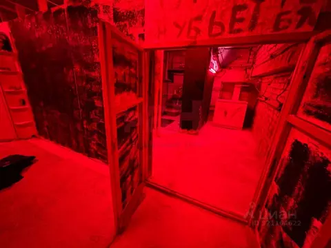 Помещение свободного назначения в Воронежская область, Воронеж ул. ...