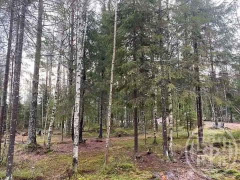 Участок в Ленинградская область, Выборгский район, Полянское с/пос, ...