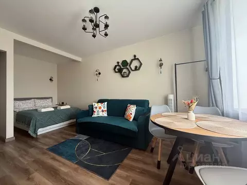 Студия Ленинградская область, Выборг Крепостная ул., 39 (25.0 м)