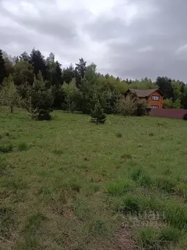 Участок в Московская область, Егорьевск муниципальный округ, д. ...