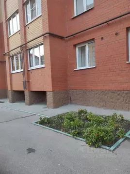 Студия Рязанская область, Рязань ул. Семчинская, 11к2 (22.8 м)