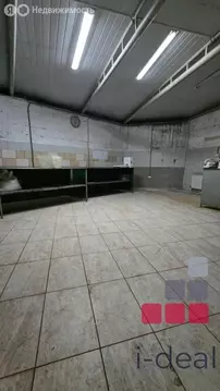 Помещение свободного назначения (100 м)