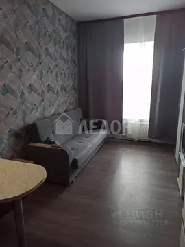 Студия Омская область, Омск Порт-Артур мкр, ул. 4-я Марьяновская, 4А ...