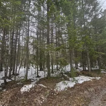 Участок в Ханты-Мансийский АО, Ханты-Мансийск Здоровье СОТ,  (13.8 ...