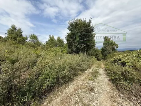 Участок в Приморский край, Артем Тигровый СНТ, 12 (10.0 сот.)