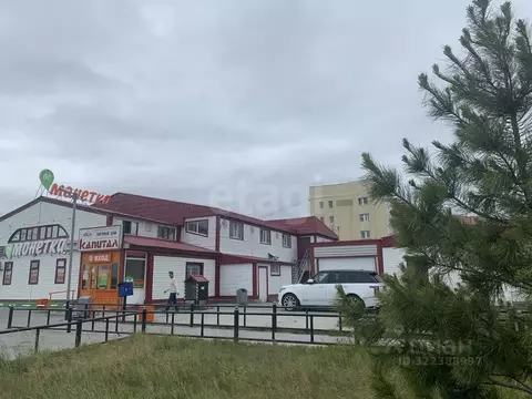 Торговая площадь в Ямало-Ненецкий АО, Новый Уренгой просп. Мира, 30 ...