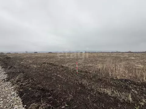 Участок в Мордовия, Лямбирский район, Берсеневское с/пос, Альтерра кп  ...