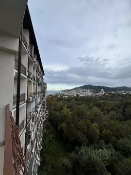 Студия Краснодарский край, Сочи Новый Сочи мкр, ул. Санаторная, 46 ...