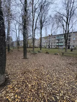 Комната Владимирская область, Собинский муниципальный округ, пос. ...