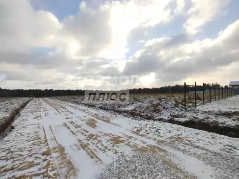 Участок в Московская область, Серпухов городской округ, Сосновый бор ...