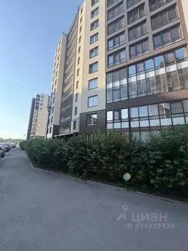 Студия Санкт-Петербург просп. Ветеранов, 169к1 (24.4 м)