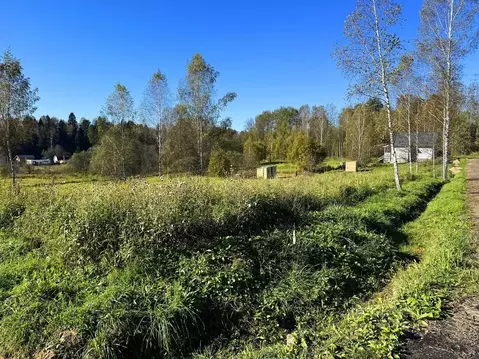 Участок в Московская область, Дмитровский муниципальный округ, Форест ...