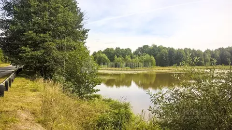 Участок в Брянская область, Выгоничский район, Орменское с/пос, пос. ...