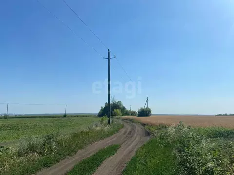 Участок в Белгородская область, Белгородский муниципальный округ, с. ...