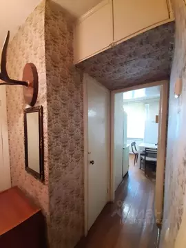 1-к кв. Калужская область, Калуга ул. Тельмана, 11 (31.0 м)