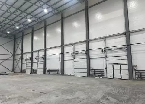 Склад в Московская область, Щелково Щелково индустриальный парк, с10 ...