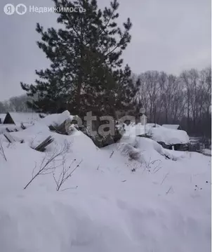 Участок в село Корнилово, улица Мичурина (14 м)