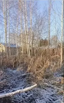 Участок в Московская область, Талдомский городской округ, д. Малое ...