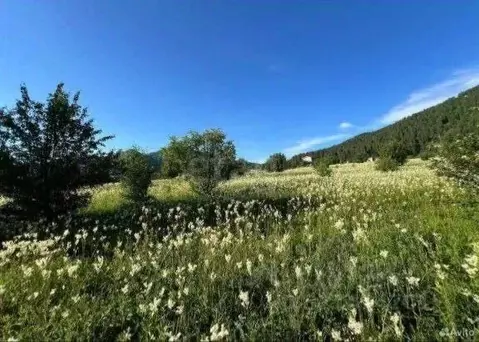 Участок в Алтай, Чемальский район, Узнезинское с/пос, с. Узнезя пер. ...