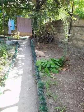 Дом в Крым, Феодосия ул. Боевая, 35 (99 м)